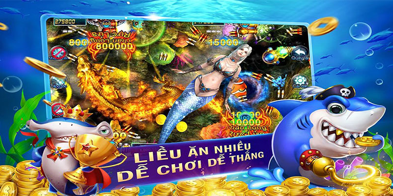 Tổng quan về game bắn cá Bingo dễ hiểu 