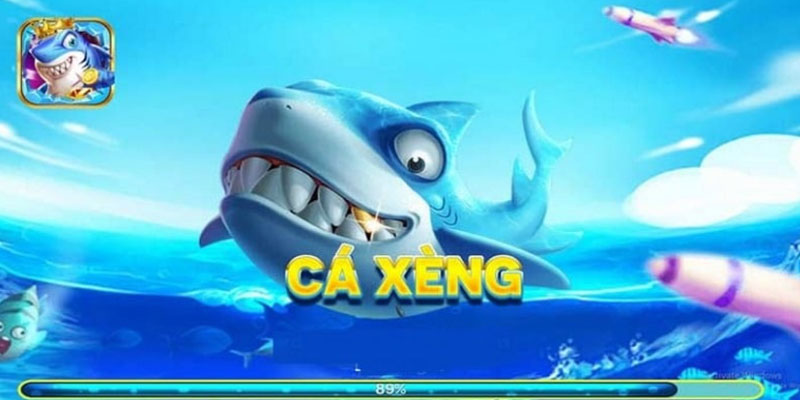 ban-ca-xeng