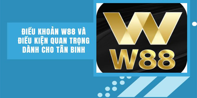 Điều kiện điều khoản W88 cơ bản dành cho tân thủ