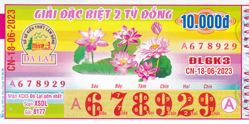 Xổ số Dalat - Hình thức xổ số được yêu thích