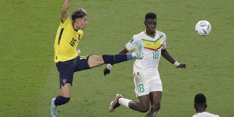 Nhận định ecuador vs senegal cược chấp châu Á