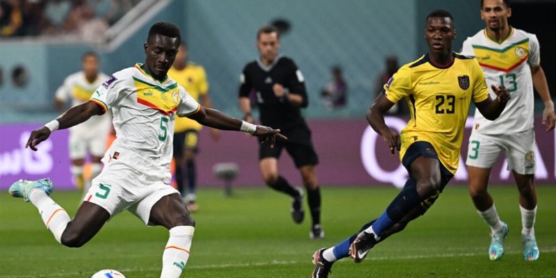 Vì sao nhận định kèo ecuador vs senegal đang hot